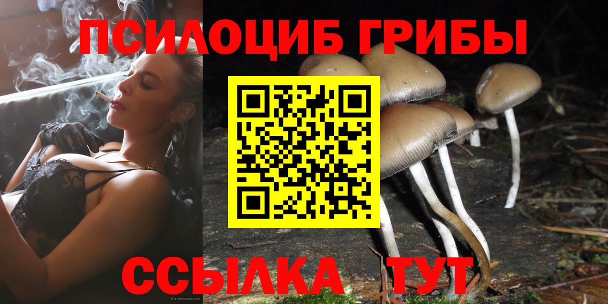 Псилоцибиновые грибы Psilocybe  Вход с VPN  купить наркотик  Жигулёвск 